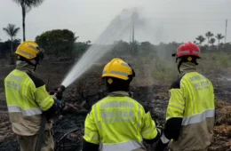 Incêndio em vegetação na AM-070 é controlado após mobilização de 180 bombeiros