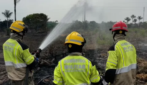Incêndio em vegetação na AM-070 é controlado após mobilização de 180 bombeiros