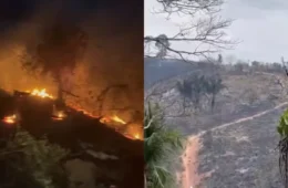Incêndio de grandes proporções destrói pastagens no sudoeste do Pará