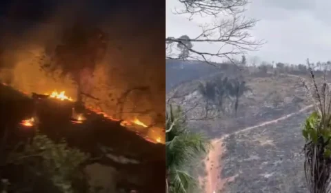 Incêndio de grandes proporções destrói pastagens no sudoeste do Pará