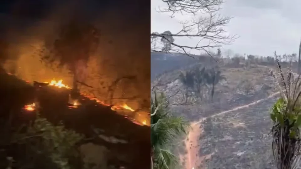Incêndio de grandes proporções destrói pastagens no sudoeste do Pará