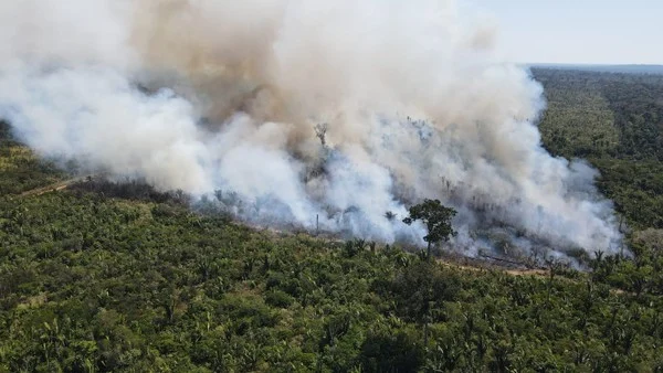 Incêndios no AM atingem Porto Velho e prejudicam qualidade do ar