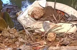 Recém-nascido é encontrado com ferimento profundo perto de córrego e levado à UTI em SP