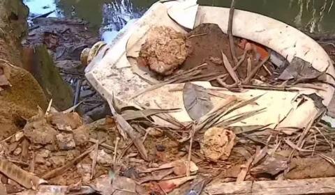 Recém-nascido é encontrado com ferimento profundo perto de córrego e levado à UTI em SP