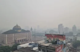 Qualidade do ar melhora em Manaus após queda de 65,8% nos focos de incêndio no Amazonas