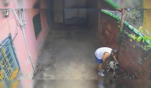 Câmeras flagram homem dando choques e jogando água em cachorro no DF