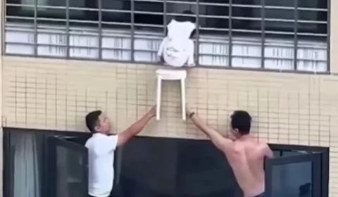 VÍDEO: Criança fica presa em janela no 12º andar e vizinhos a salvam