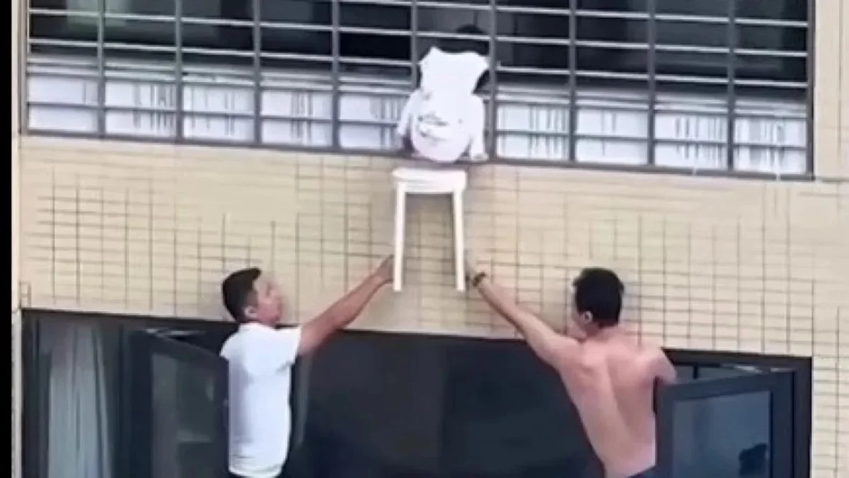 O episódio também reforça a importância da supervisão de crianças pequenas e de medidas de segurança em janelas de apartamentos, especialmente em edifícios altos.