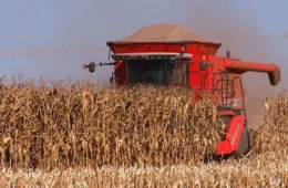 Trabalhador troca produto, destrói lavoura de milho e causa prejuízo de R$ 900 mil em Goiás