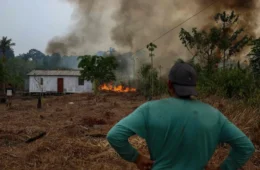 Incêndios florestais levam 36 cidades do Amazonas a estado de emergência