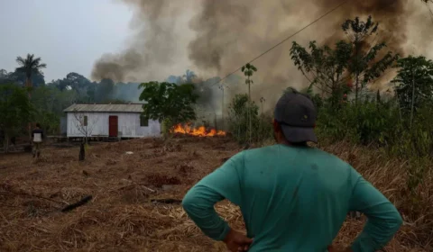 Incêndios florestais levam 36 cidades do Amazonas a estado de emergência