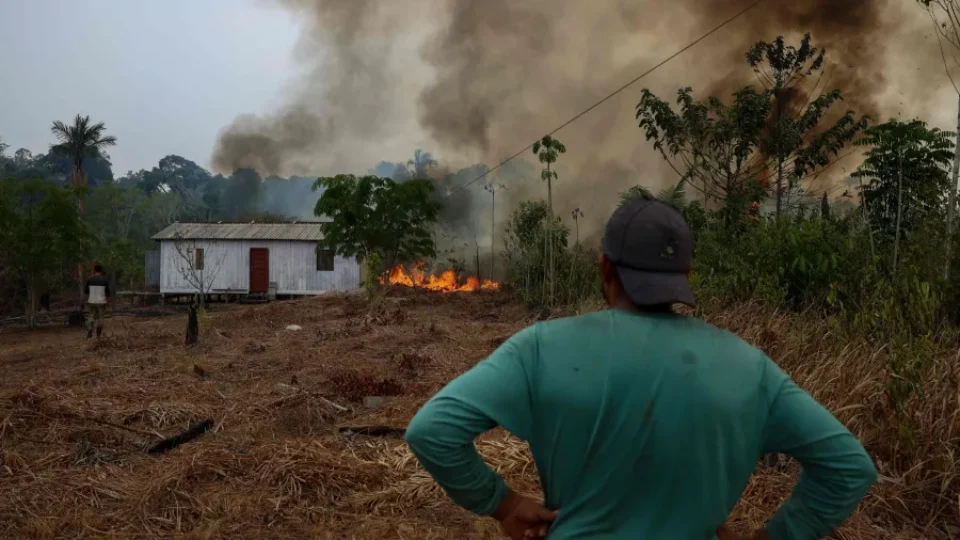 Incêndios florestais levam 36 cidades do Amazonas a estado de emergência