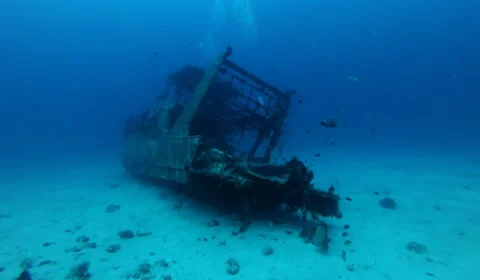 Bactérias são encontradas em combustível de navios afundados na Segunda Guerra