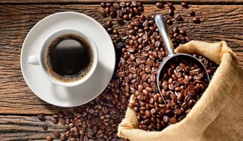 Quanto café é demais? No Dia Internacional da bebida, ciência aponta limite de consumo