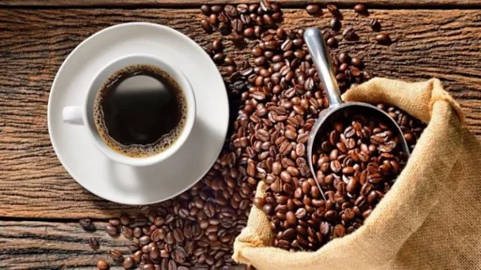 Quanto café é demais? No Dia Internacional da bebida, ciência aponta limite de consumo