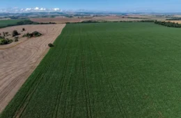 Demanda por fertilizantes pode cair até 16% no Brasil em 2026, aponta mercado