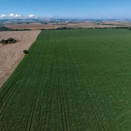 Demanda por fertilizantes pode cair até 16% no Brasil em 2026, aponta mercado