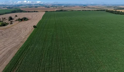 Demanda por fertilizantes pode cair até 16% no Brasil em 2026, aponta mercado