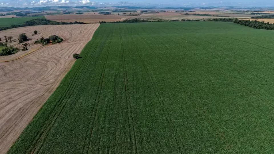 Demanda por fertilizantes pode cair até 16% no Brasil em 2026, aponta mercado