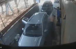 Enxame de abelhas ataca trabalhadores em posto de gasolina no DF
