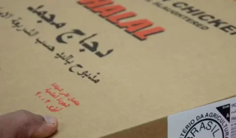 Arábia Saudita reduz embargo à carne de aves do Brasil após foco de doença em SC