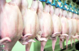 México suspende compra de frango brasileiro após confirmação de doença em granja de SC