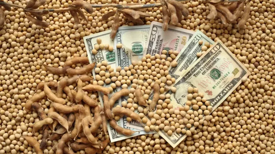 Soja, café e açúcar caem no exterior após eleição e disparada do dólar