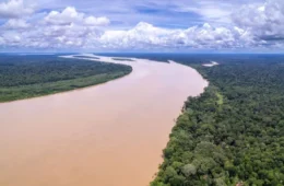 Pesquisa identifica 37 mil microplásticos no Rio Madeira e revela dimensão da poluição