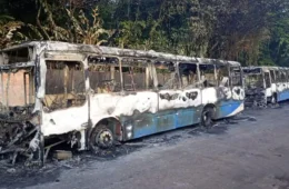 Suspeito de incendiar dois ônibus em Ananindeua é preso no Pará após investigação