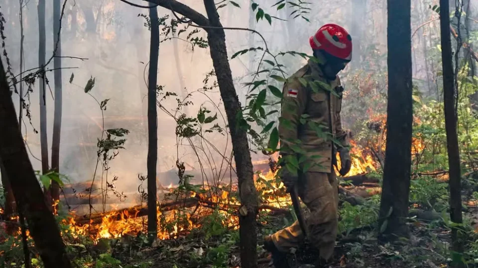 Governo do Amazonas pediu ajuda contra queimadas, mas dispensou reforço federal, diz ministério