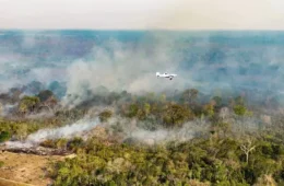Incêndios colocam 36 cidades do Amazonas em emergência e fumaça provoca suspensão de aulas