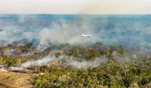 Incêndios colocam 36 cidades do Amazonas em emergência e fumaça provoca suspensão de aulas