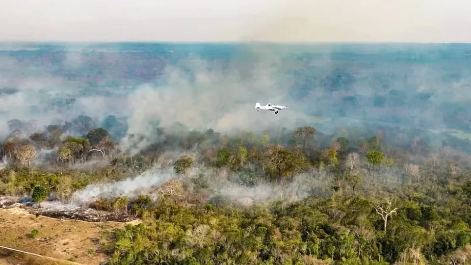 Incêndios colocam 36 cidades do Amazonas em emergência e fumaça provoca suspensão de aulas
