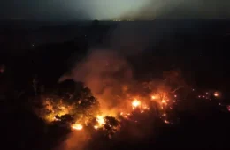 Incêndios destroem plantações e imóveis e provocam desmaios em Itacoatiara