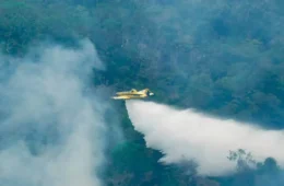 Aviões do Ibama lançam mais de 10 mil litros de água para combater incêndios no Amazonas