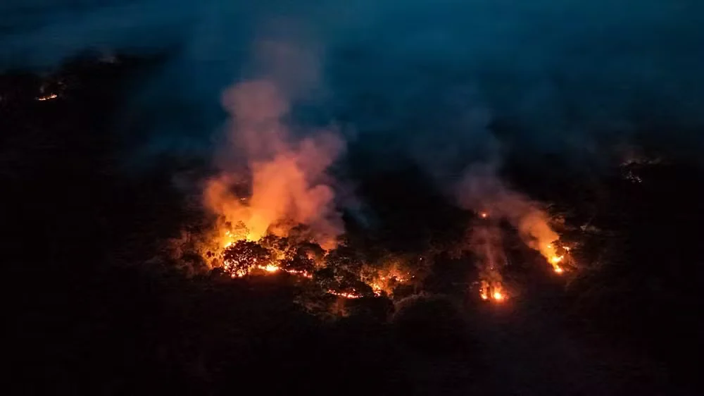 Ibama notifica 725 propriedades rurais no Amazonas para prevenir queimadas. Medida atinge sete municípios em meio ao avanço dos incêndios florestais.