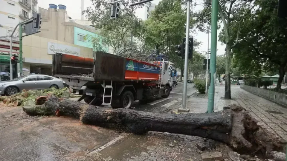 Árvore de grande porte cai em Vila Isabel e interdita Boulevard 28 de Setembro